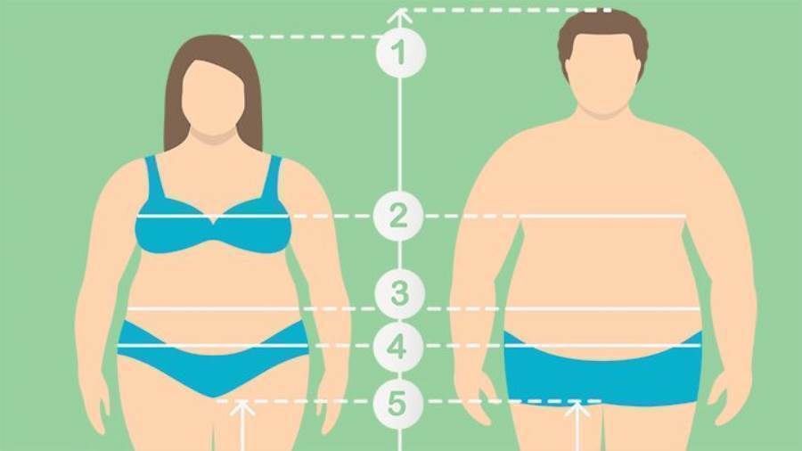 Какие бывают ожирения. Ожирение. Типы ожирения. Мужской и женский Тип ожирения. Типы ожирения у женщин.